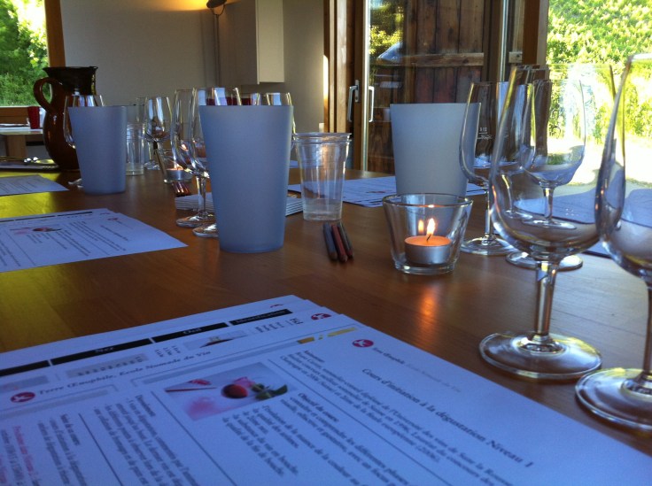 Cours au milieu des vignes