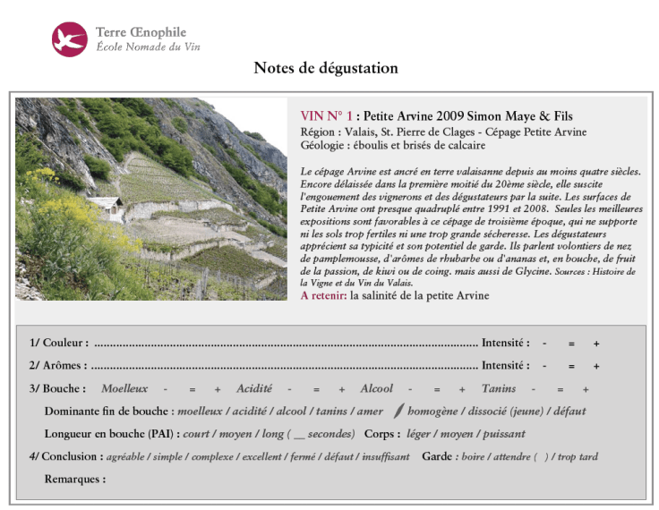 Notes de dégustation Terre Oenophile