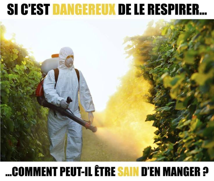 14725721_959350214169432_7574752695413769843_n