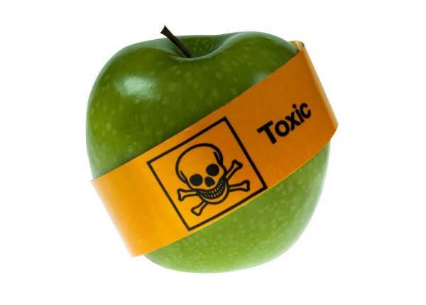 pomme-toxique-600x429